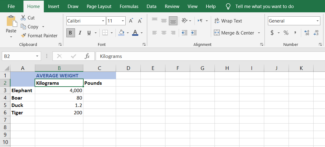 Verwendung der Konvertierungsfunktion in Excel - convert example weight