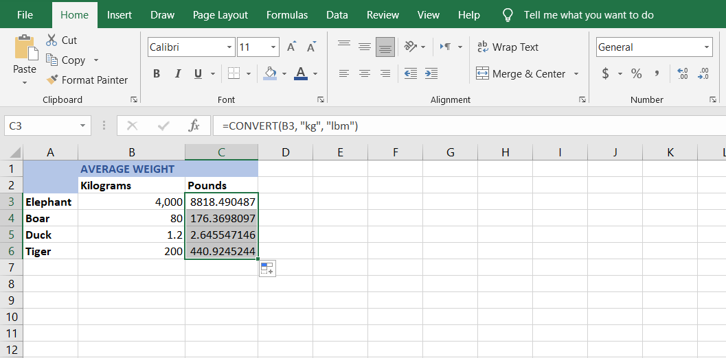 Verwendung der Konvertierungsfunktion in Excel - convert weight results