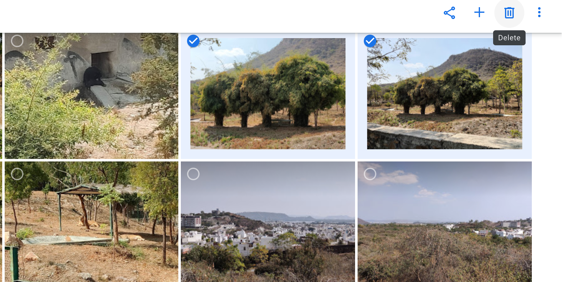 Delete photos on Google Photos for web