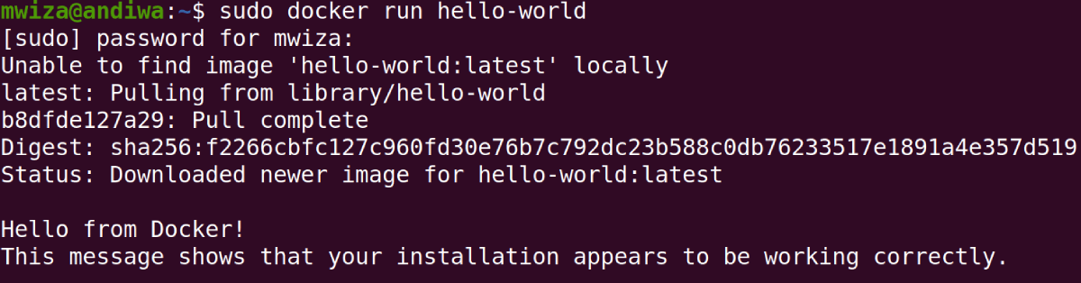 So installieren Sie Docker unter Ubuntu Linux - docker run hello world image