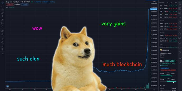 Dogecoin Hits An All Time High As People Go Crypto Crazy Dogecoin Hits An All Time High As People Go Crypto Crazy