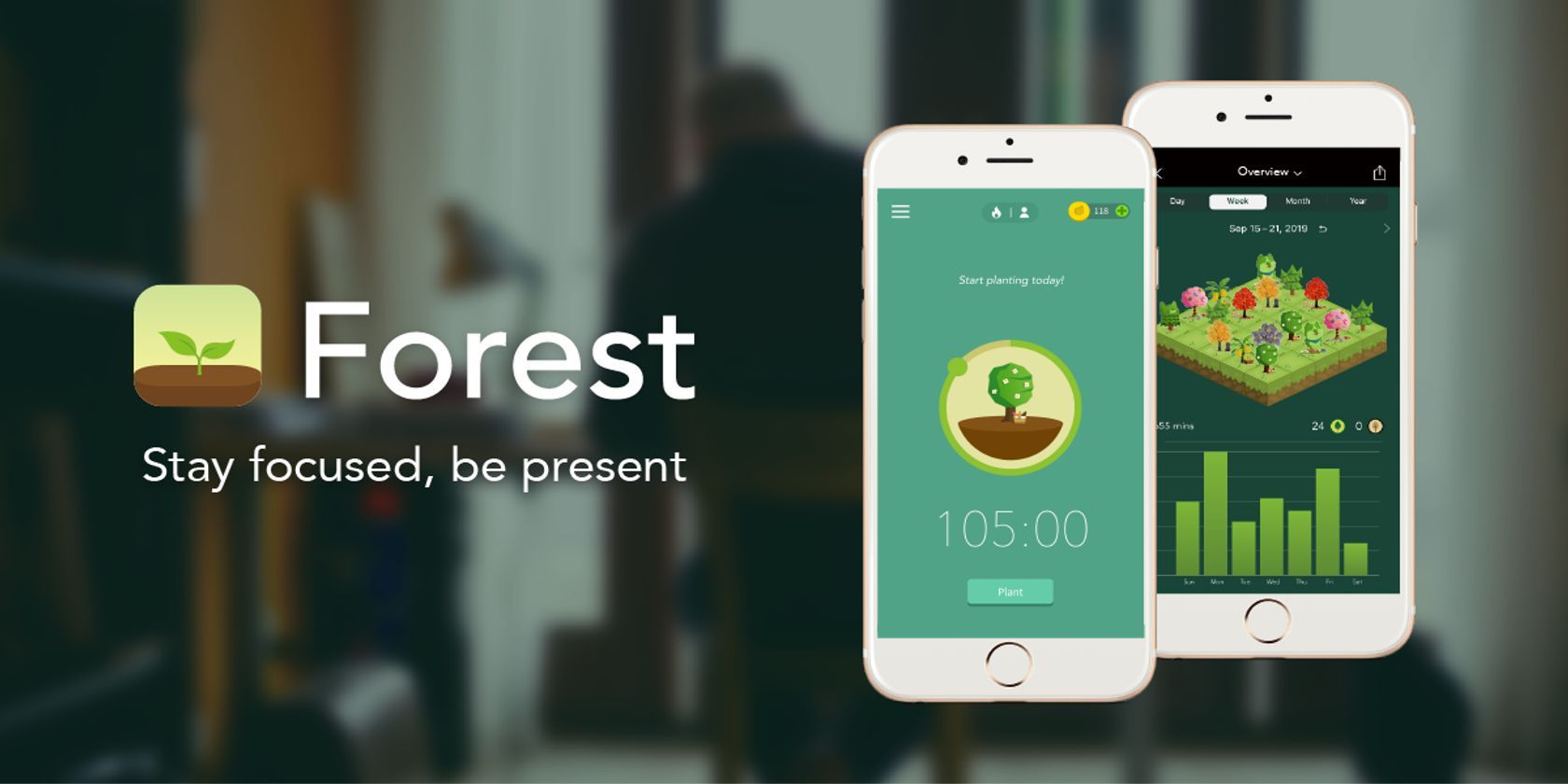 forest productivity tool