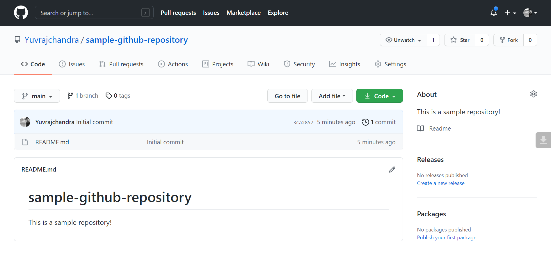 Github repository homepage