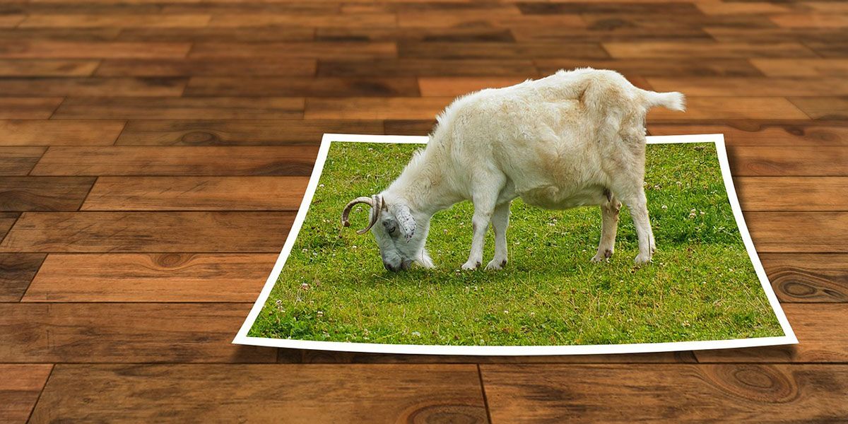 goat photoshopped coming out of a photograph