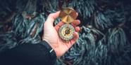 The 9 Best Compass Apps For Android