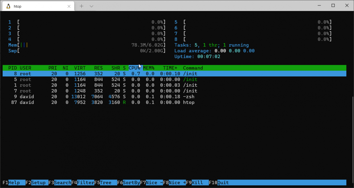 htop output with nice number in "NI" column