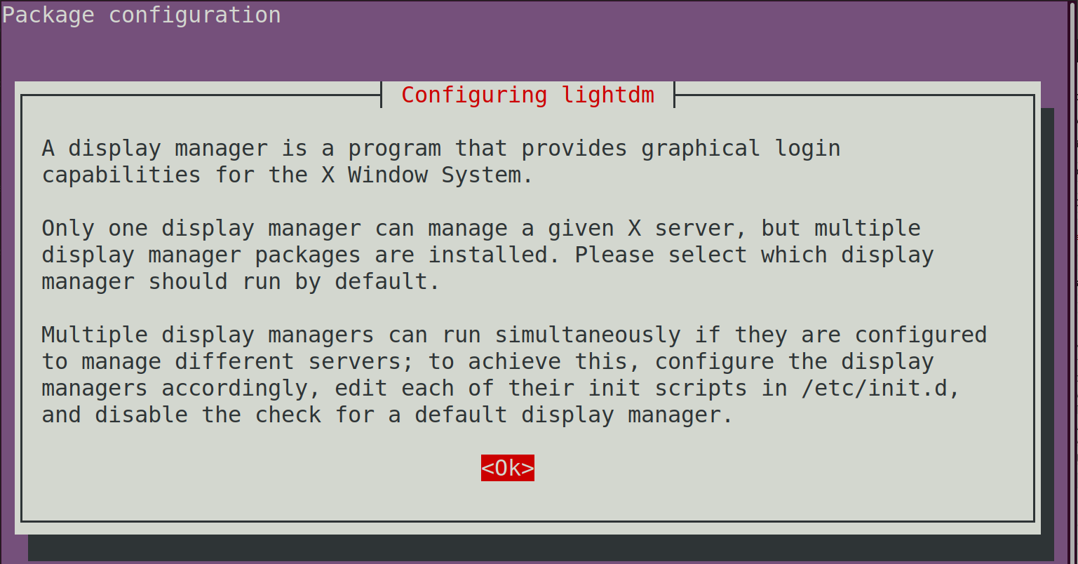 installation prompt for lightdm - Come installare ed eseguire un server VNC su Ubuntu Linux