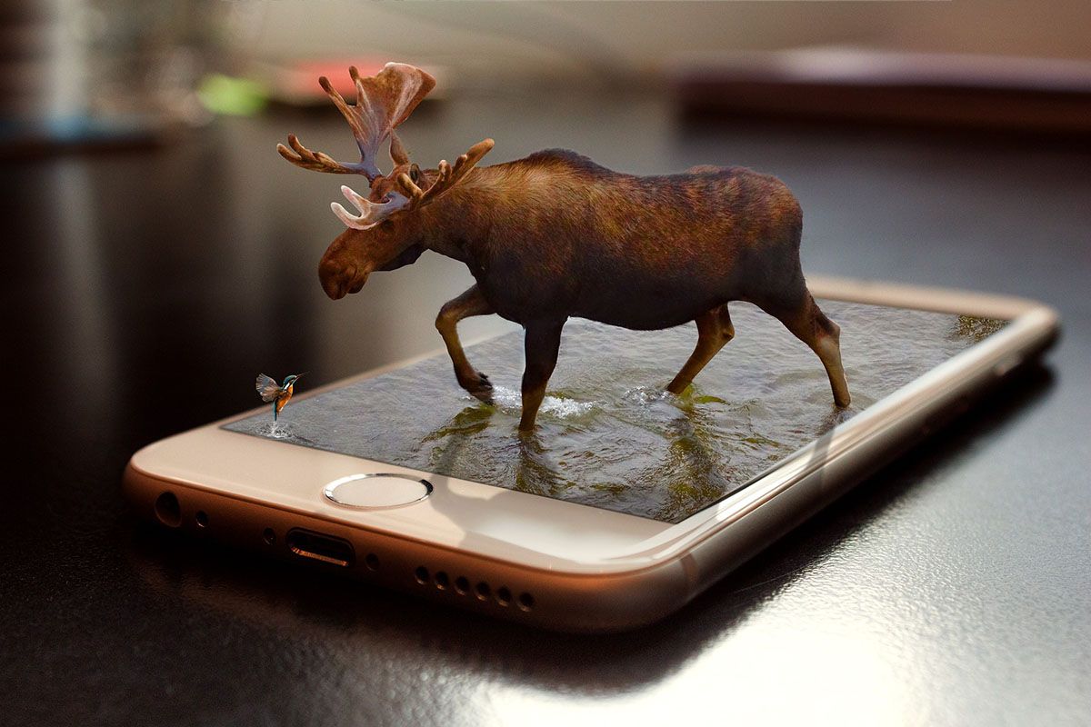 moose in photoshopped water in phone