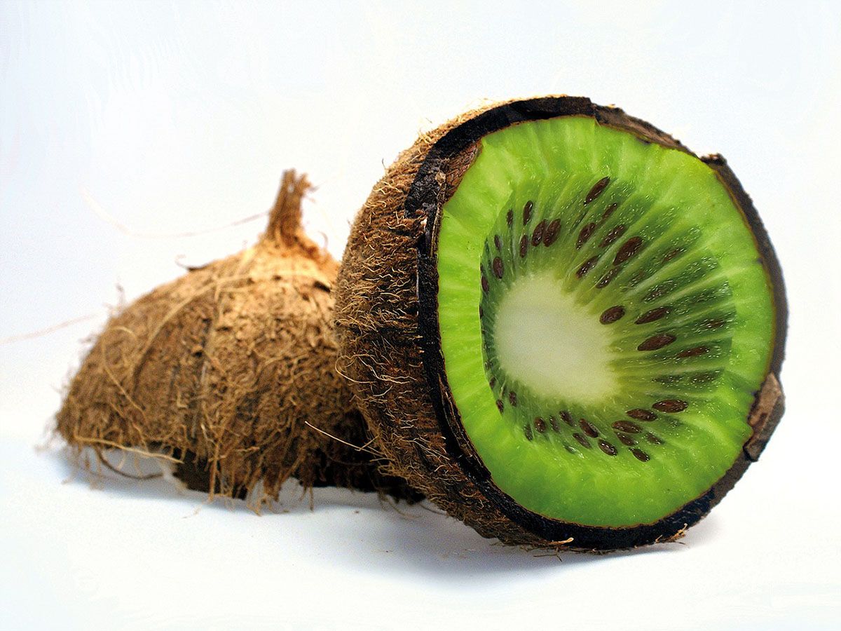 photoshopped coconut with kiwi flesh