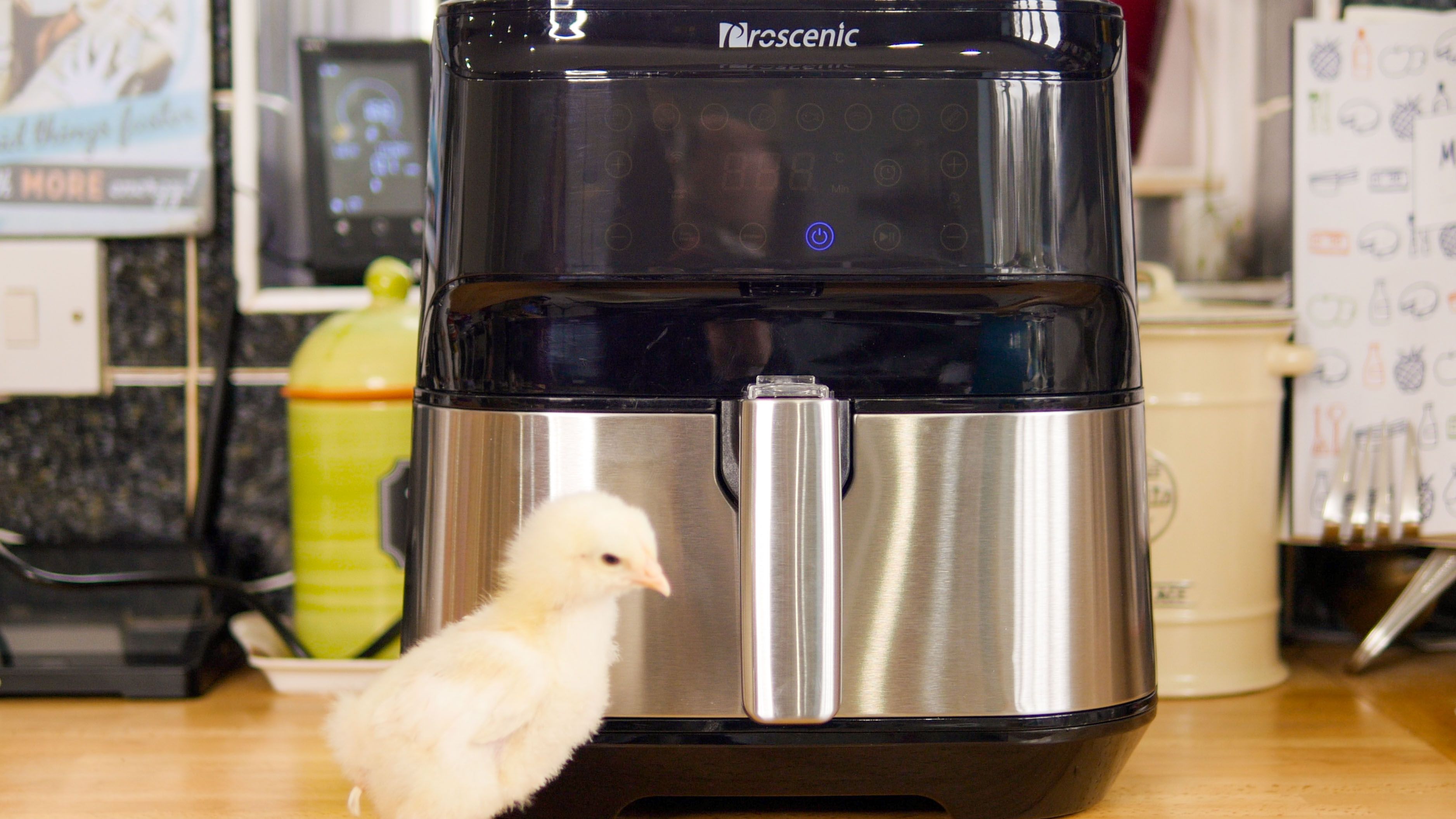 proscenic t21 chick - Friggitrice ad aria Proscenic T21: Alexa, friggi il pollo