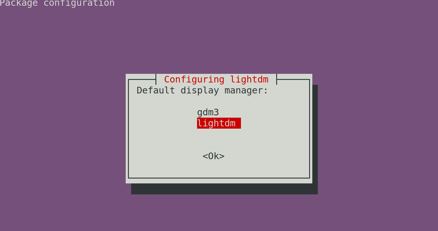 selecting lightdn - Come installare ed eseguire un server VNC su Ubuntu Linux
