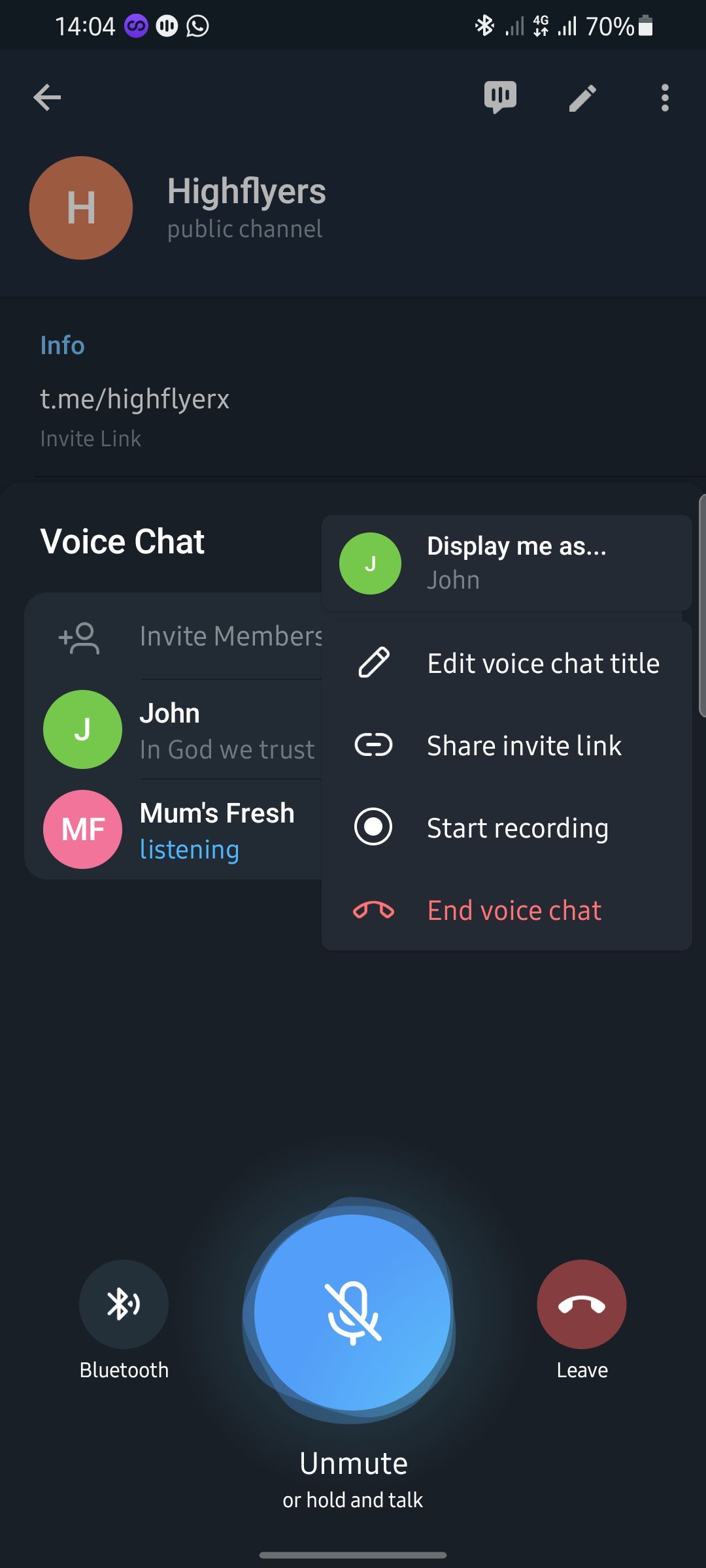 Telegram Voice Chat Options Page