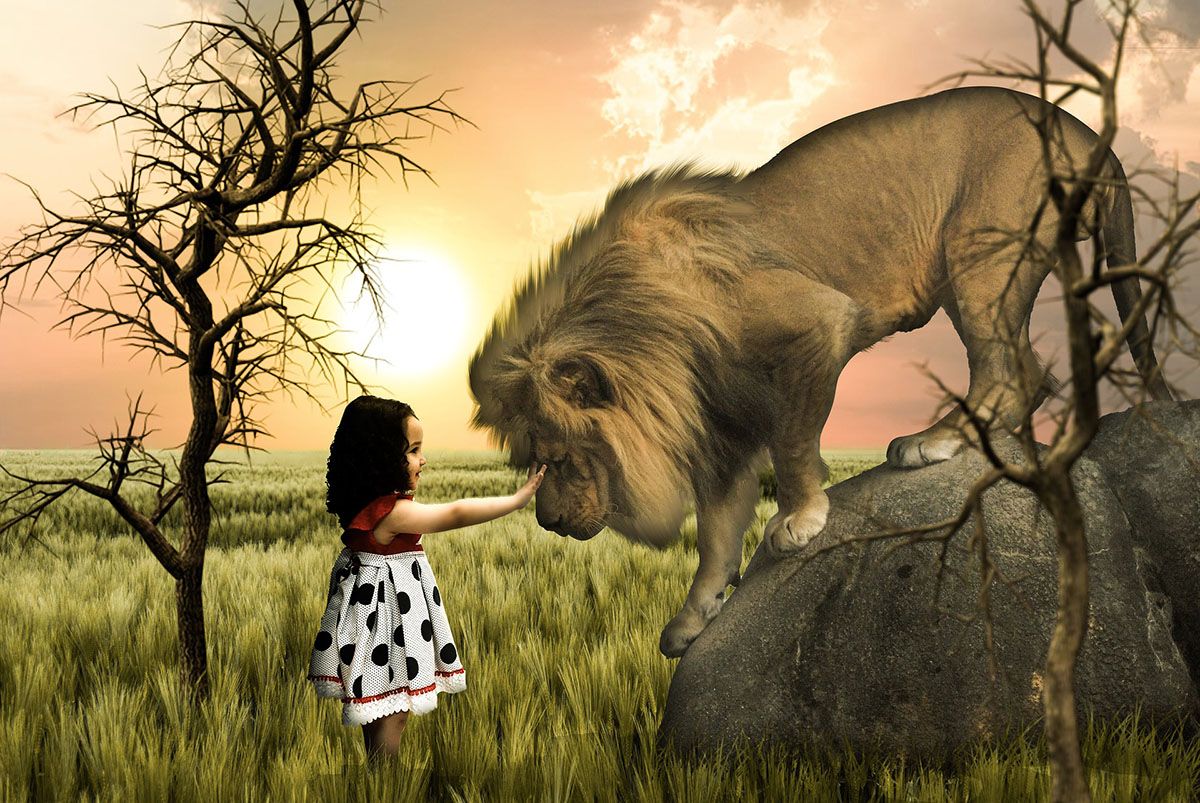 toddler photoshopped stroking lion