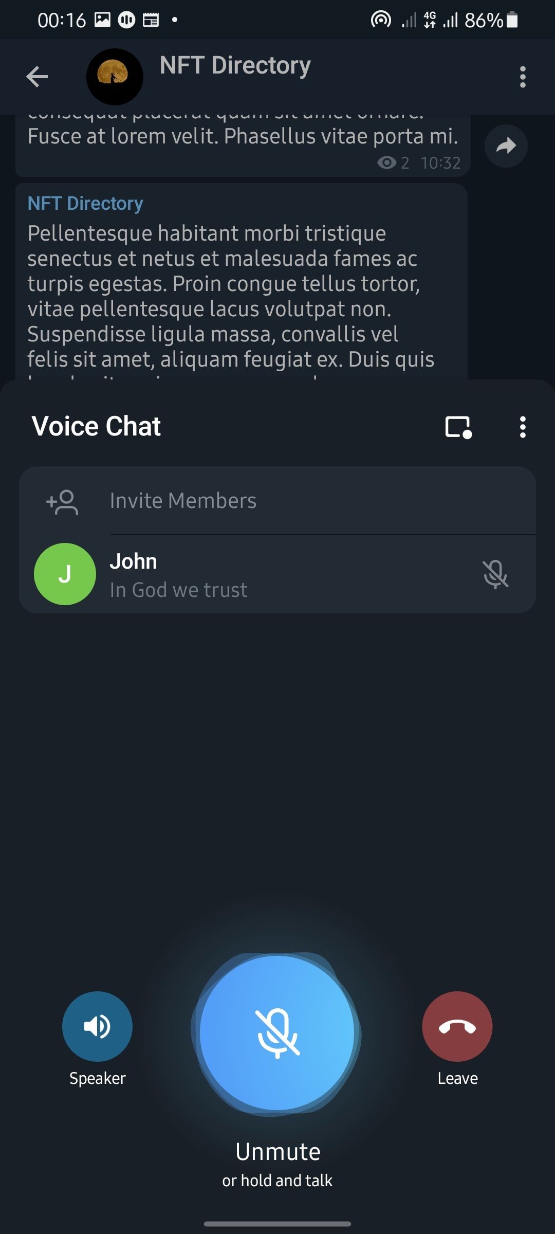 Telegram voice chat page