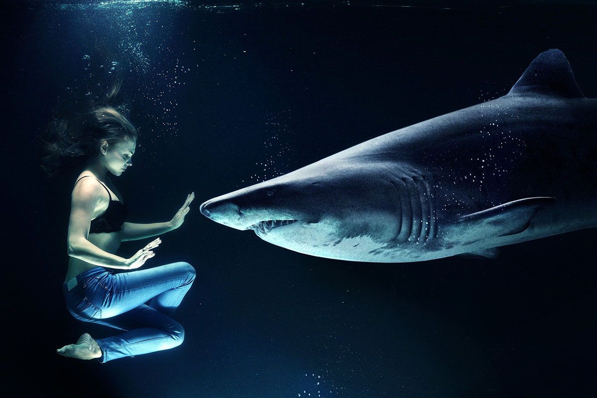 woman photoshopped underwater with shark