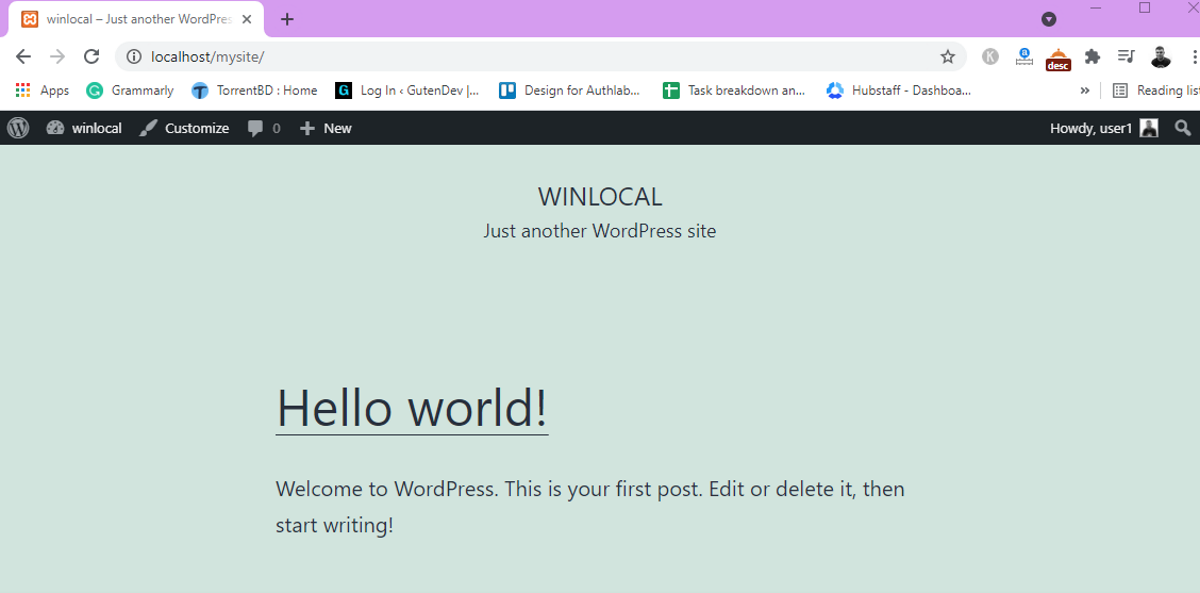 WordPress localhost website