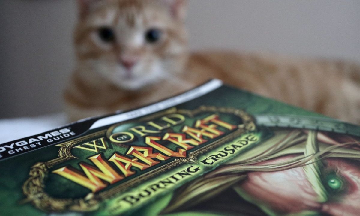 world of warcraft burning crusade guide with cat - Che cos’è GaaS (Games as a Service) e in che modo influisce sul gioco?