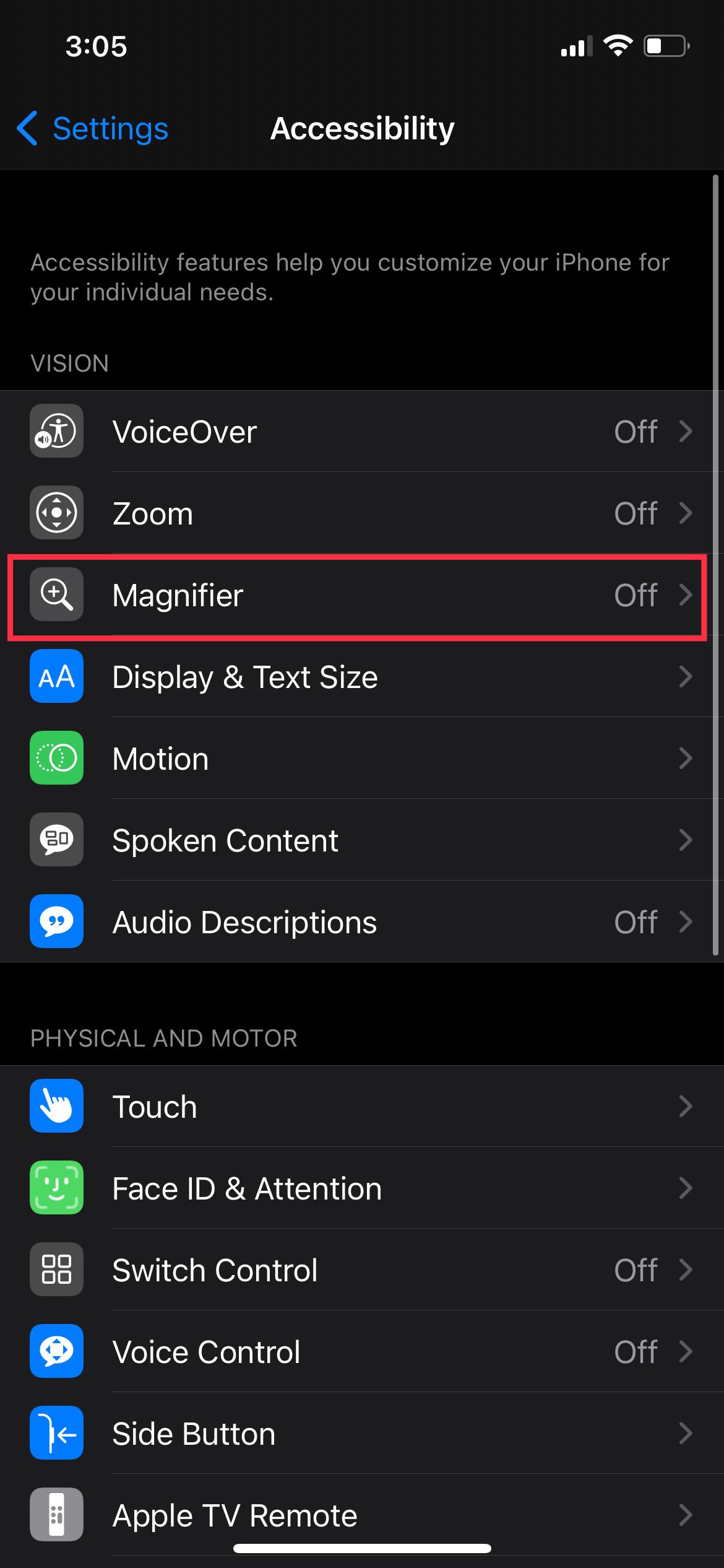 Accessibility Magnifier