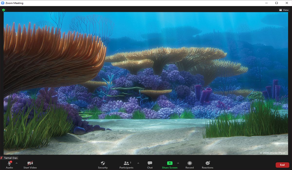 Finding Nemo Background