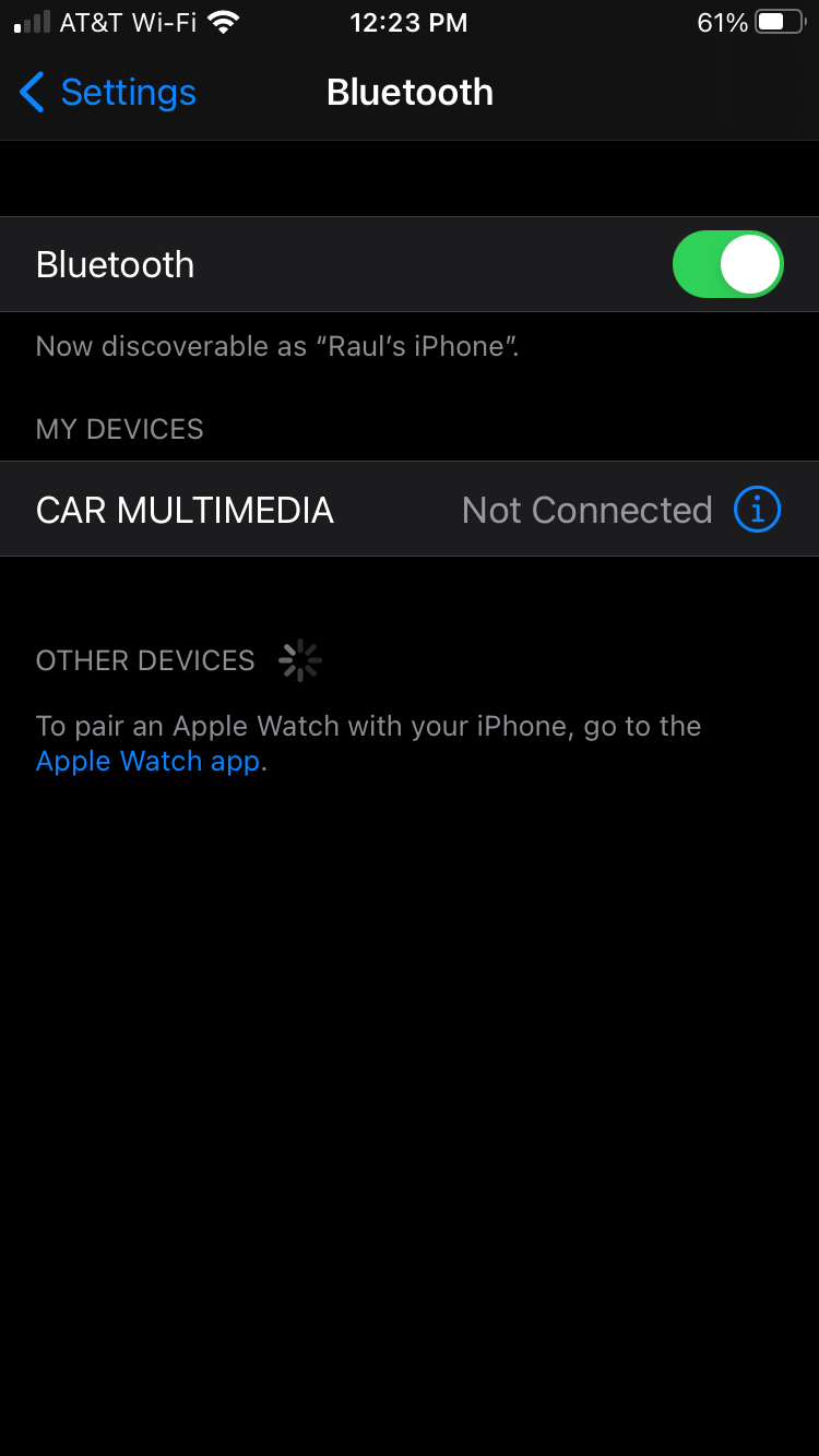 Bluetooth iPhone settings screen