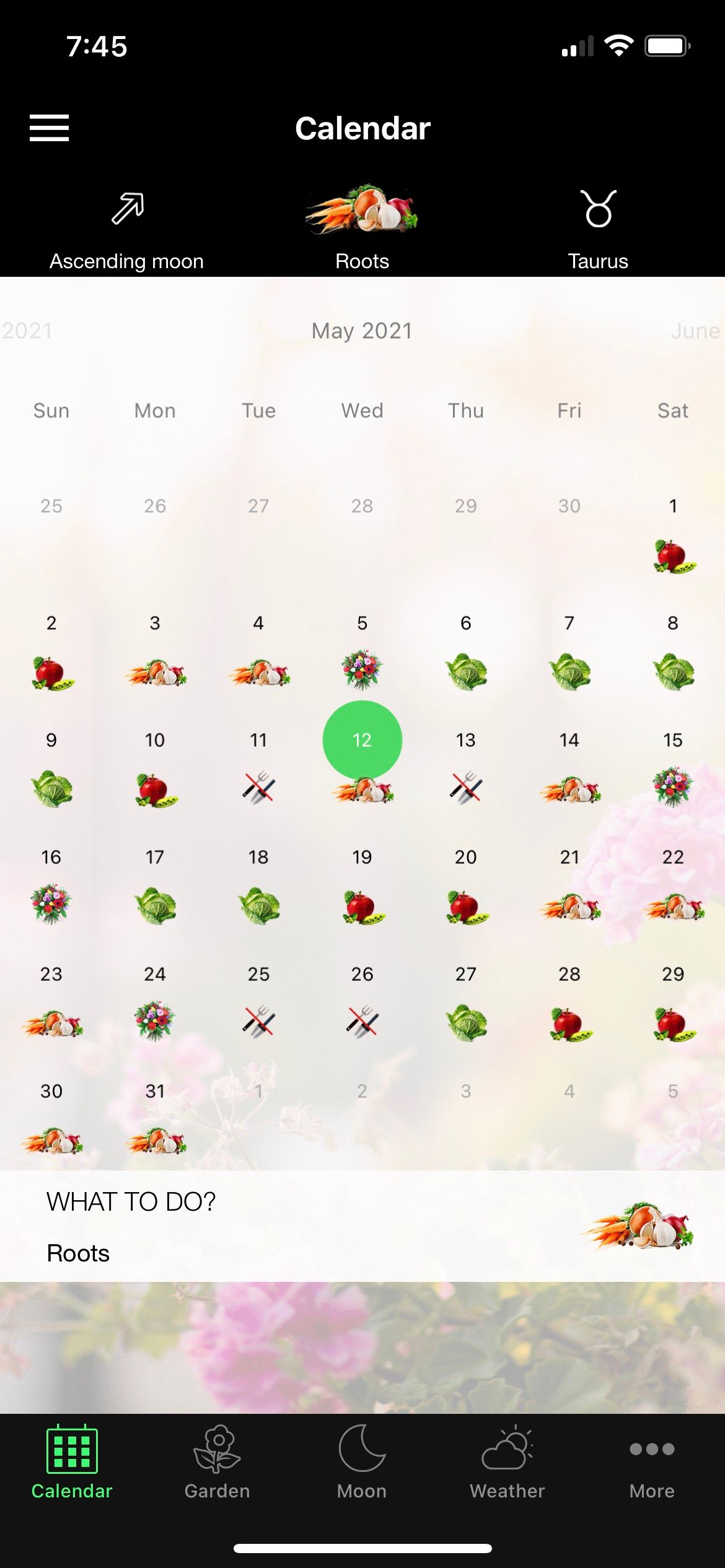 Moon and Garden Calendar Screenshot