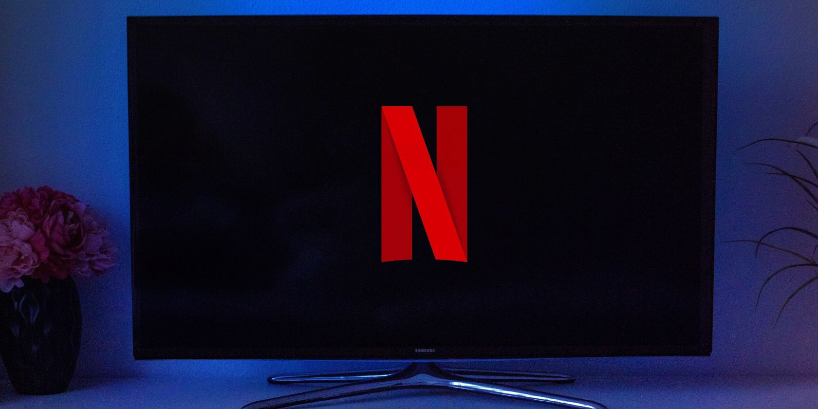 A close-up of a TV screen displaying the Netflix logo