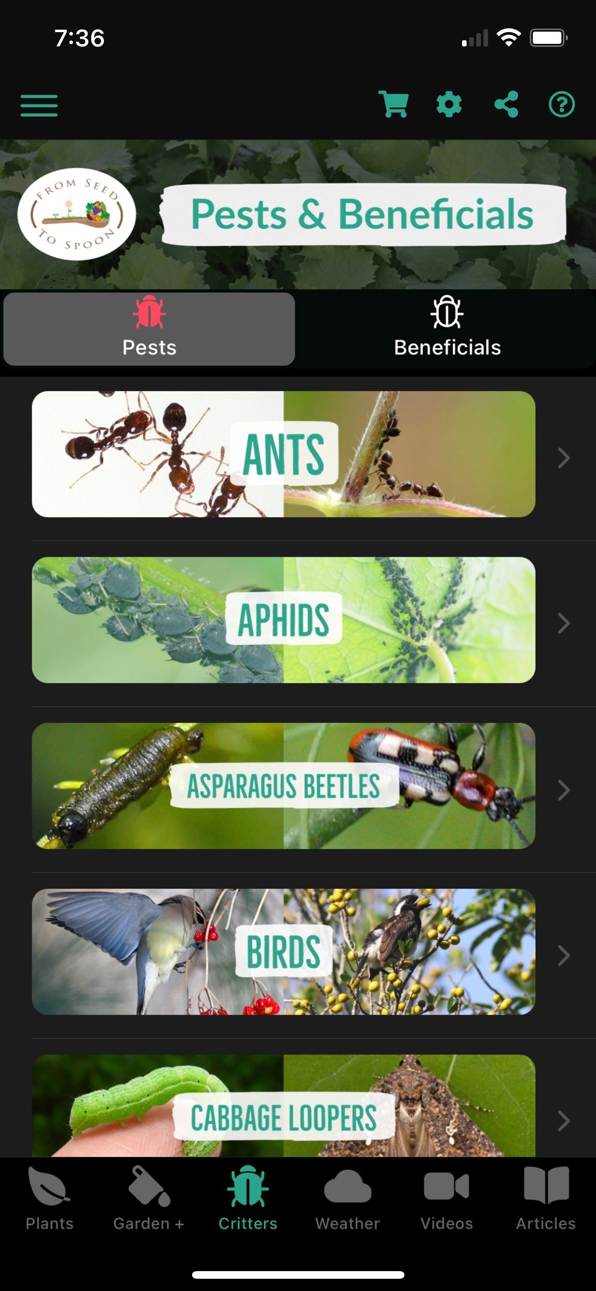 Seed to Spoon Ants, Aphids, Beetles Guide