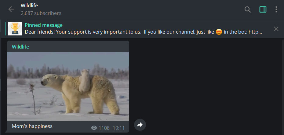 Telegram Wildlife Channel