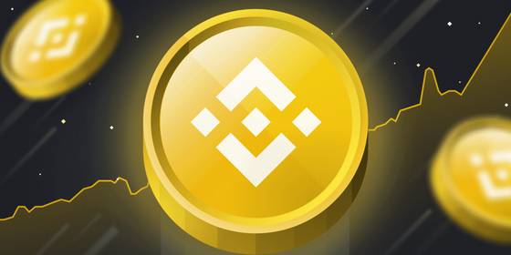 What Is Binance and Are Your Crypto Holdings Safe There?