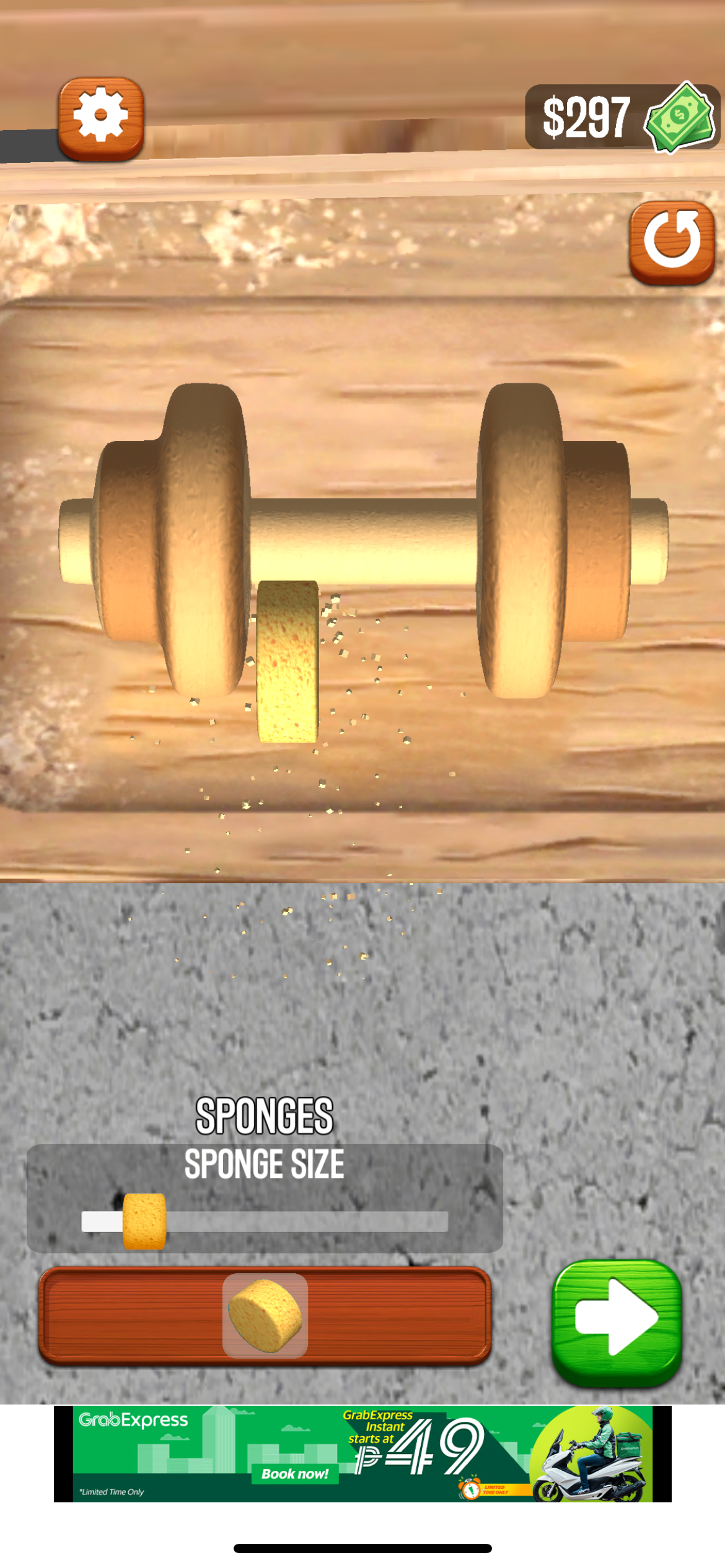 Woodturning Sponge