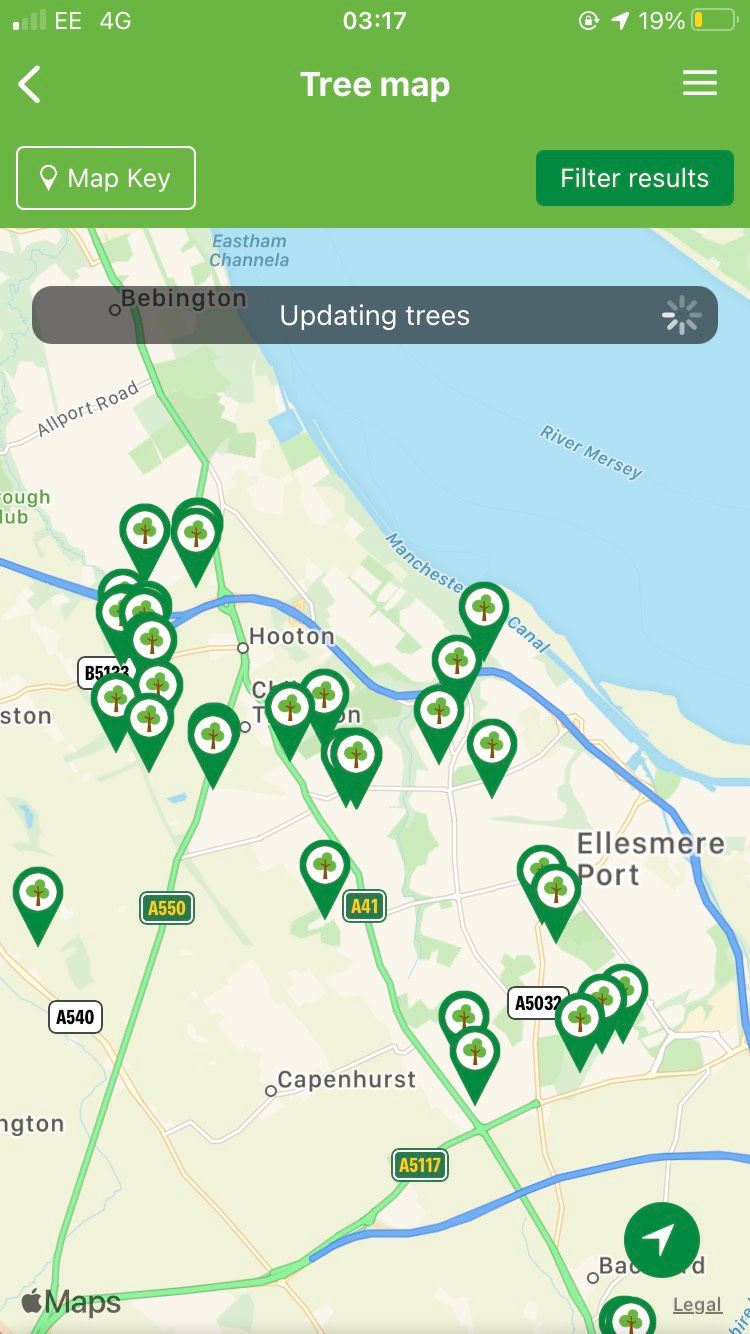 British Tree Identification tree map