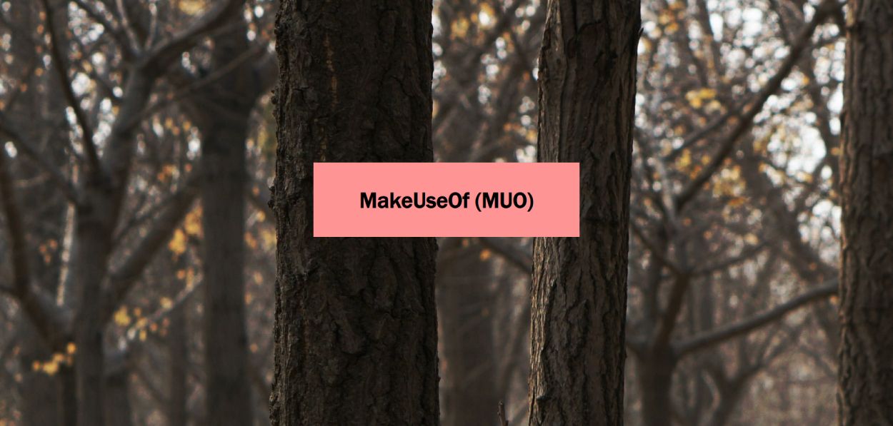 css background trees closeup - Come cambiare il colore di sfondo con CSS