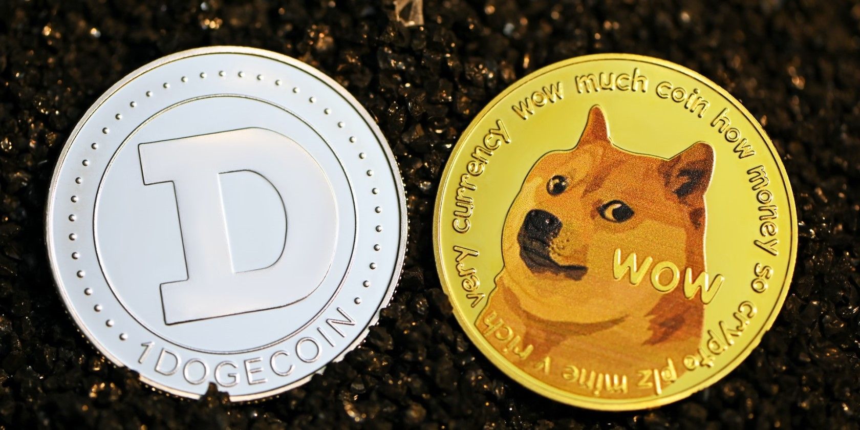 8 Dog-Inspired Cryptos That Aren't Dogecoin