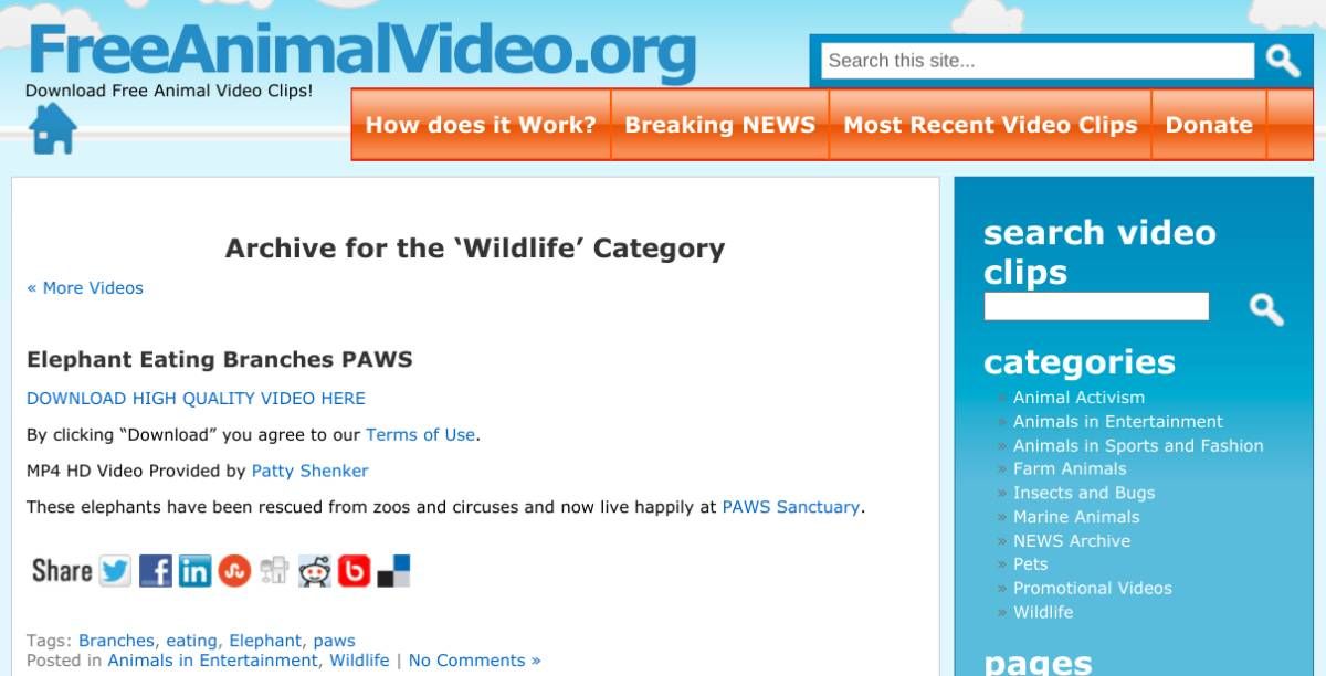 free stock video copyright royalty free animal video - 5 siti di video d’archivio per filmati esenti da diritti d’autore e tipi specifici di video