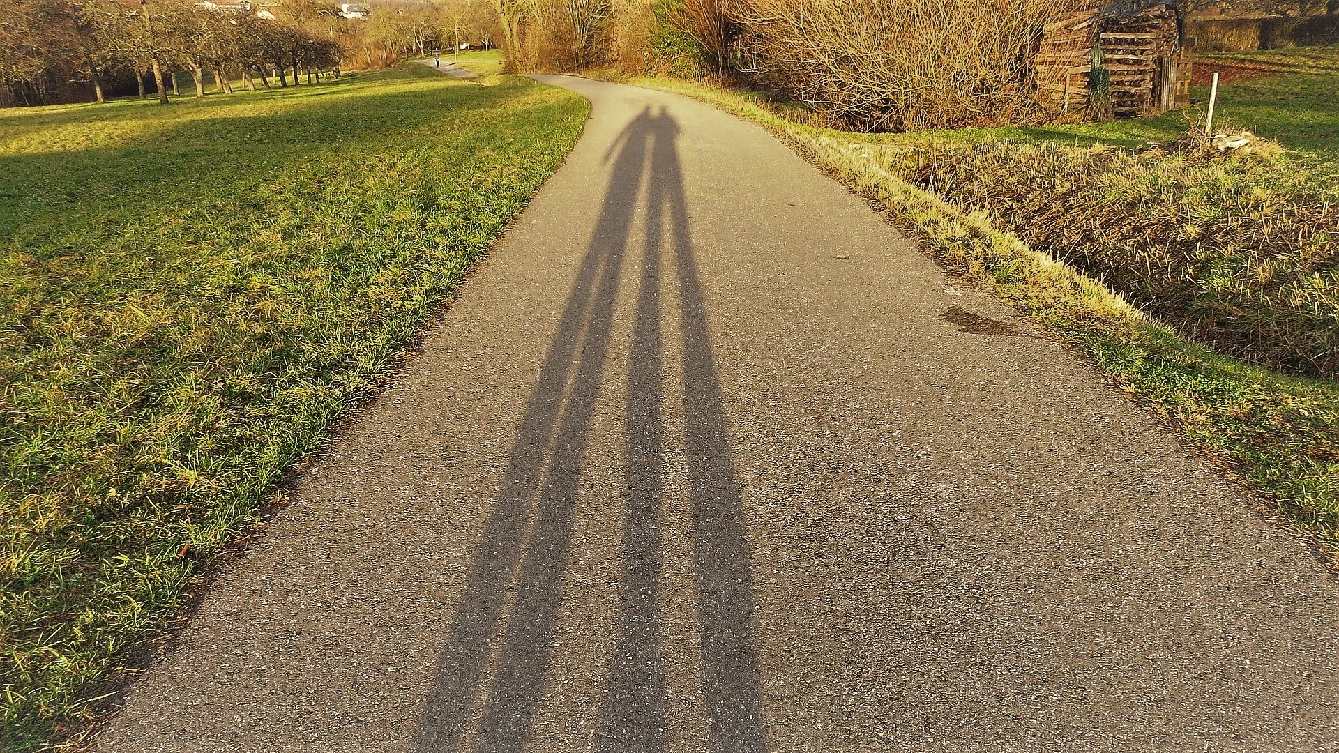 Golden Hour Self Shadow