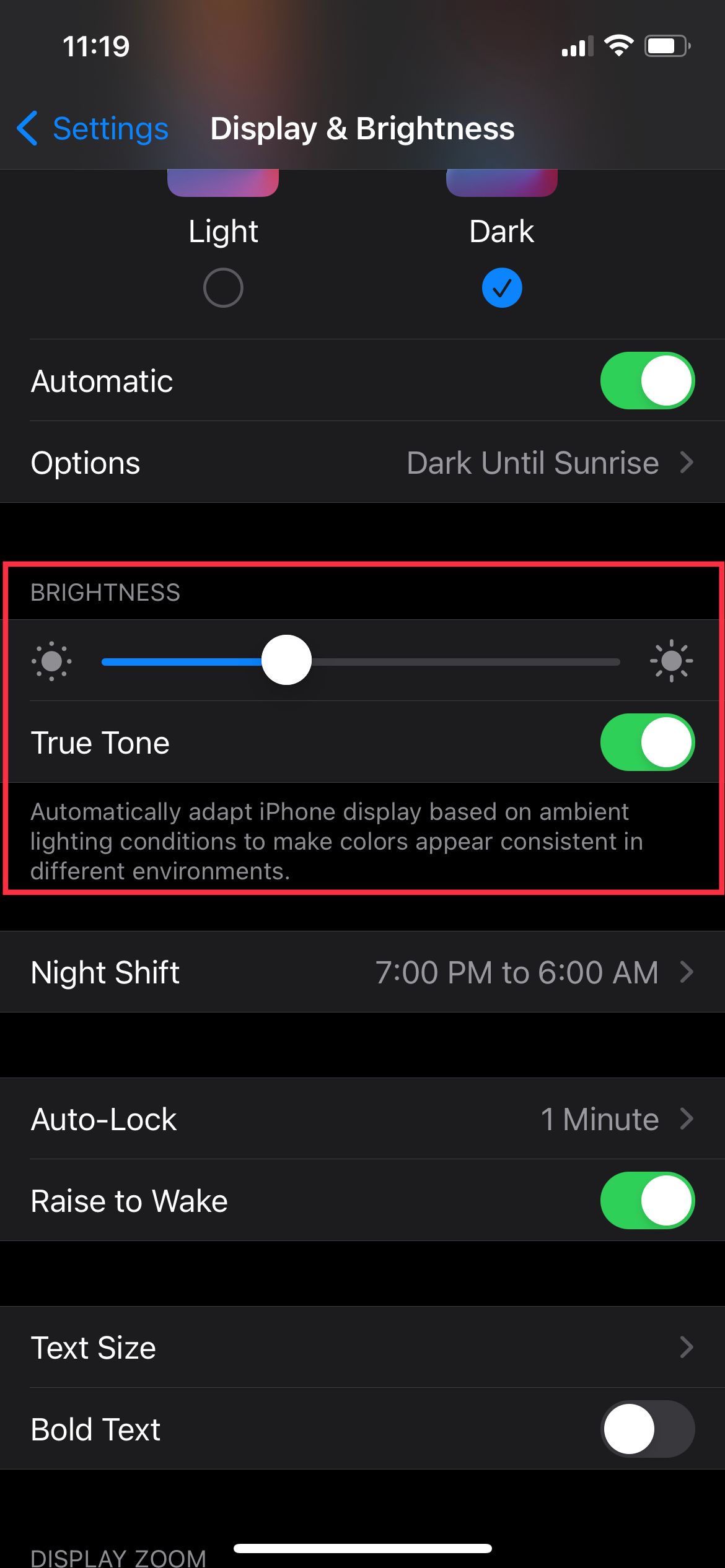 iPhone's Display&Brightness Brightness Option