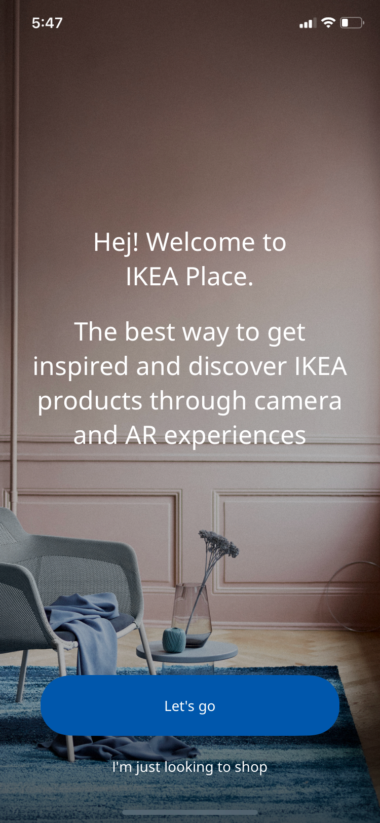 Ikea Place introduction.