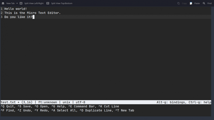 Feeling Overwhelmed With Vim? Try Micro Text Editor Instead