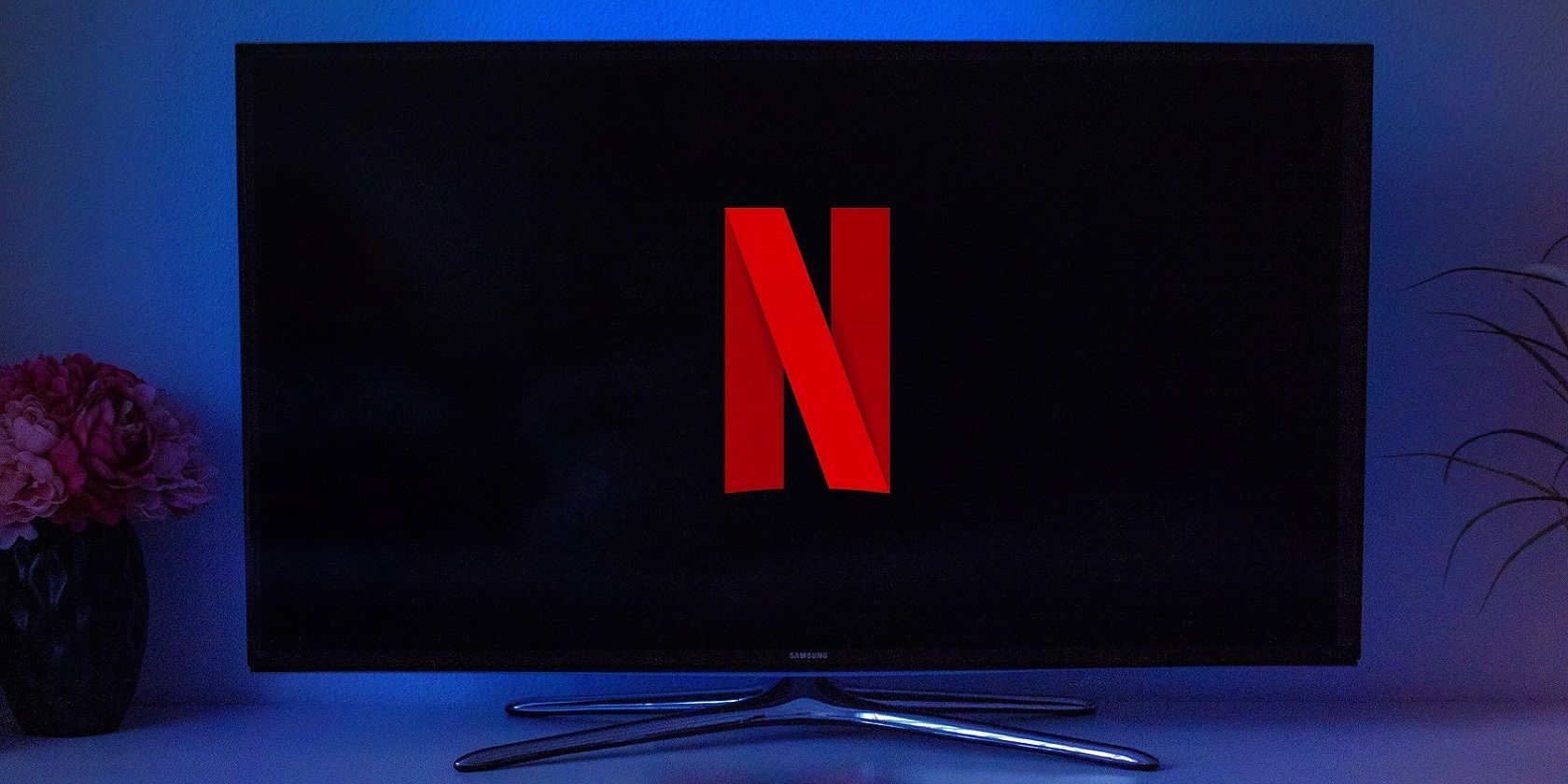 Netflix logo on TV