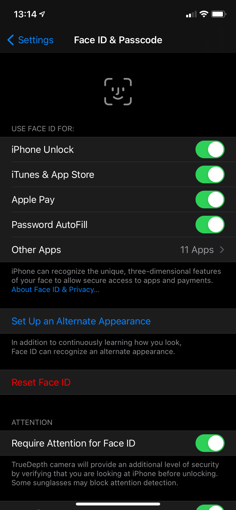 iPhone Face ID Options