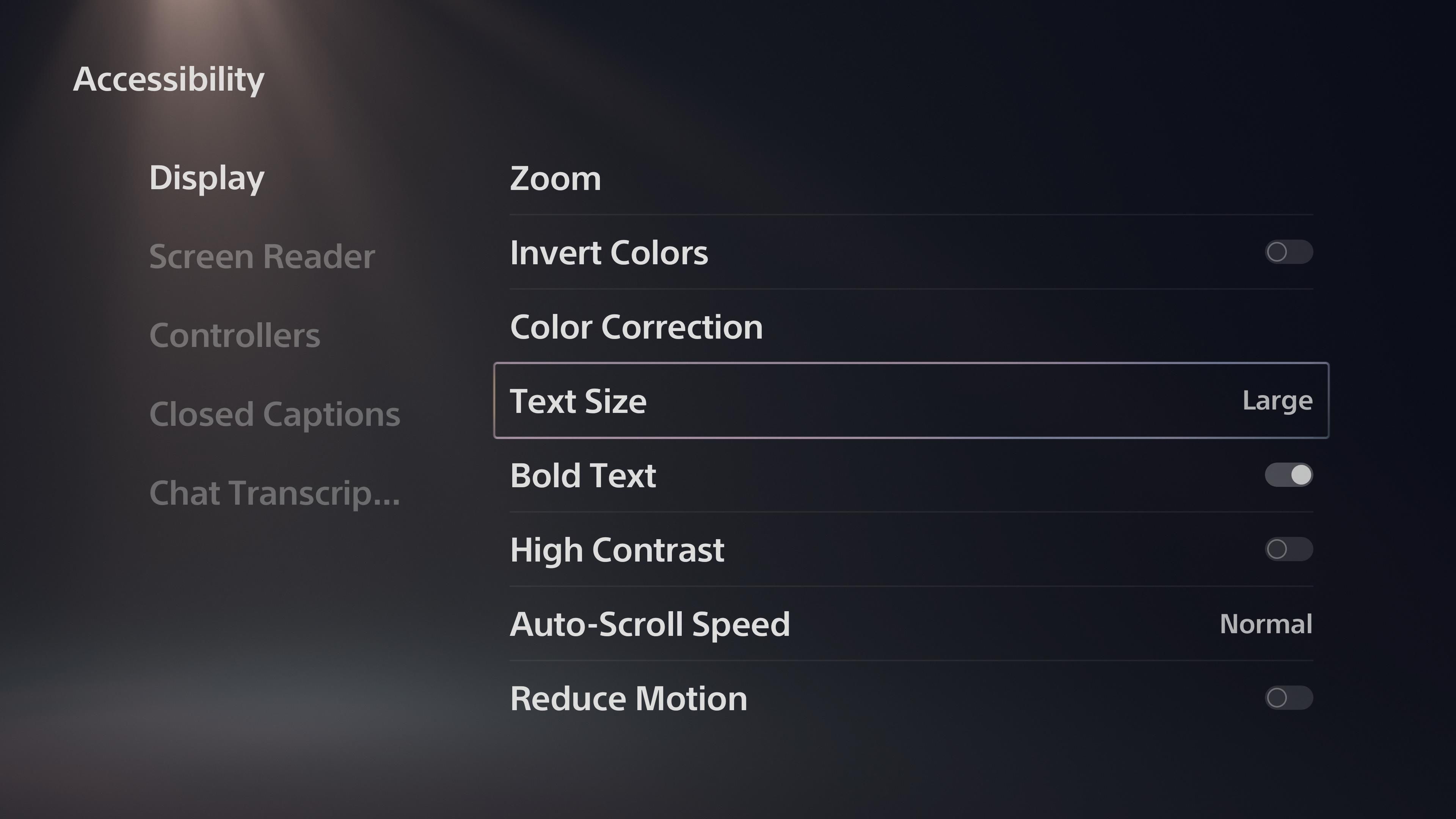 PS5 Accessibility Options