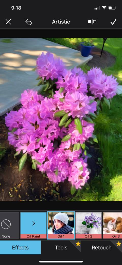 6 برنامه رایگان برای تبدیل عکس به آثار هنری و نقاشی 19 Becasso Art.jpg?q=50&fit=crop&w=480&dpr=1 -