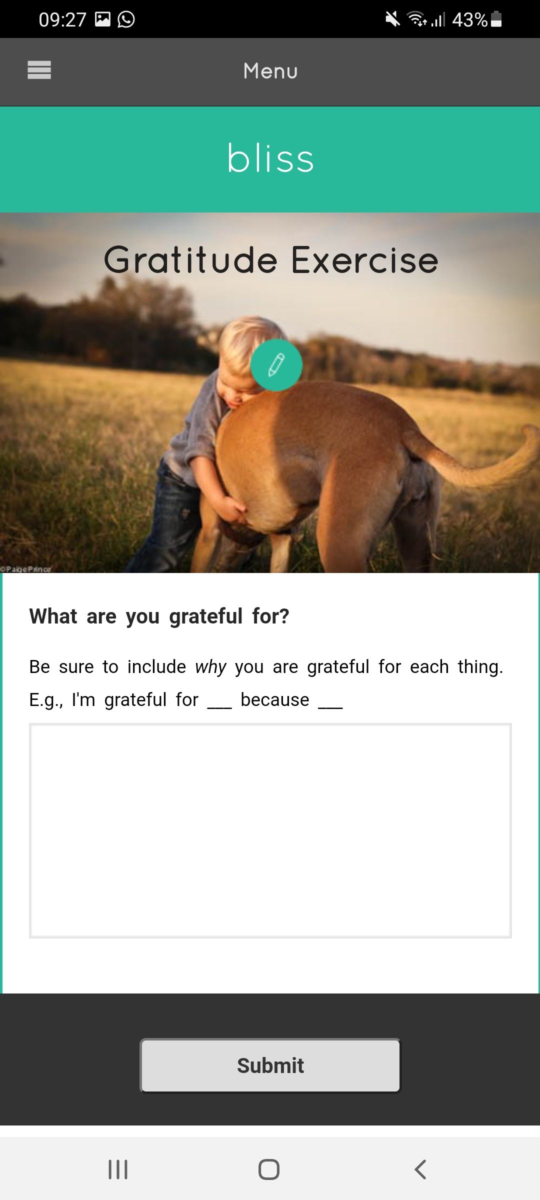 Bliss gratitude journal app example prompt