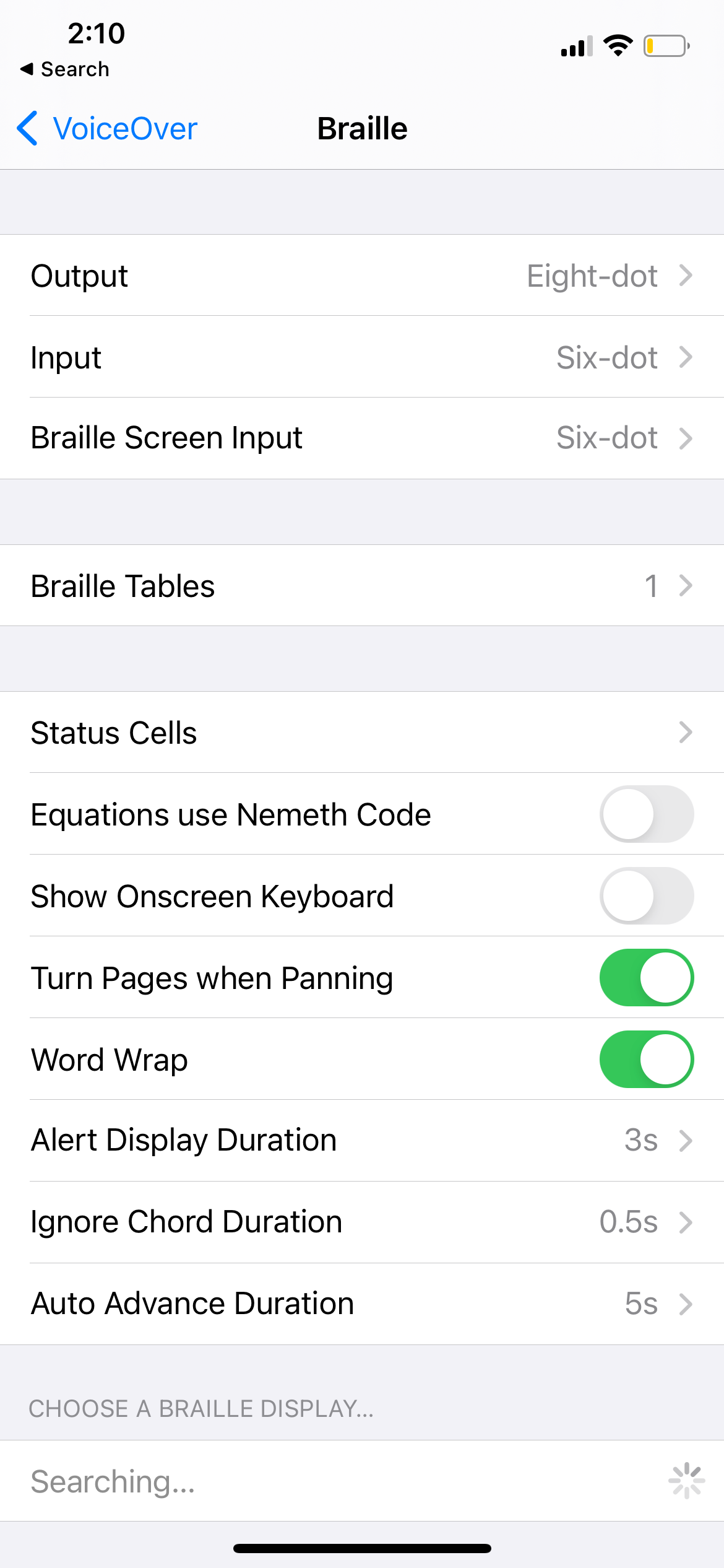 Braille Options on iPhone
