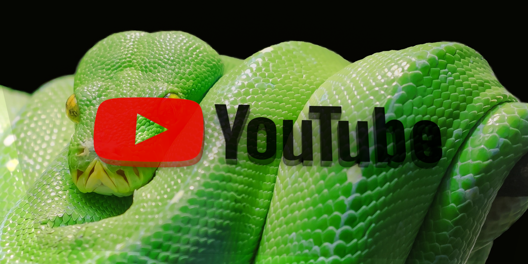 how-to-build-a-youtube-video-downloader-with-python-flipboard