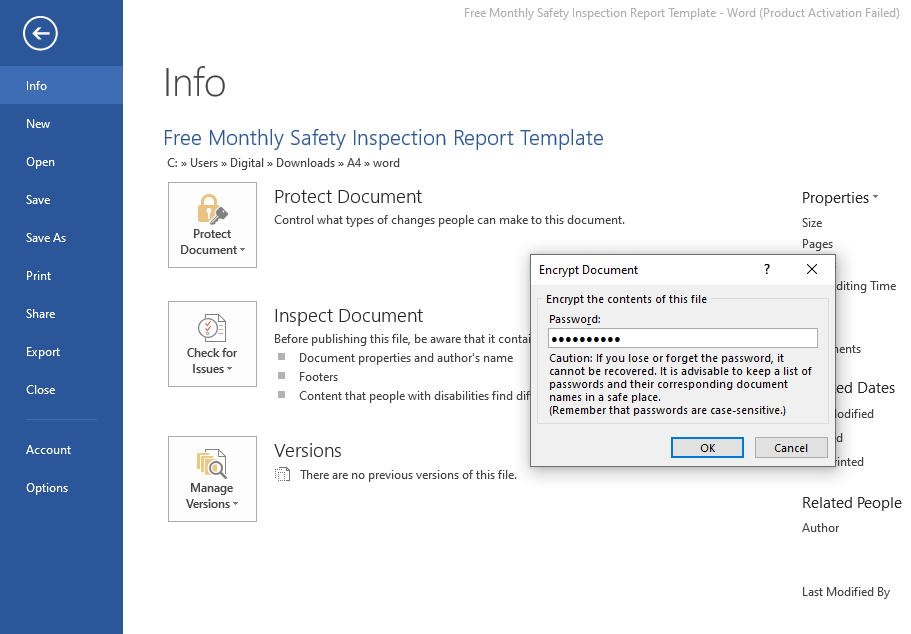 Entering Password For Encrypting MS-Word Document