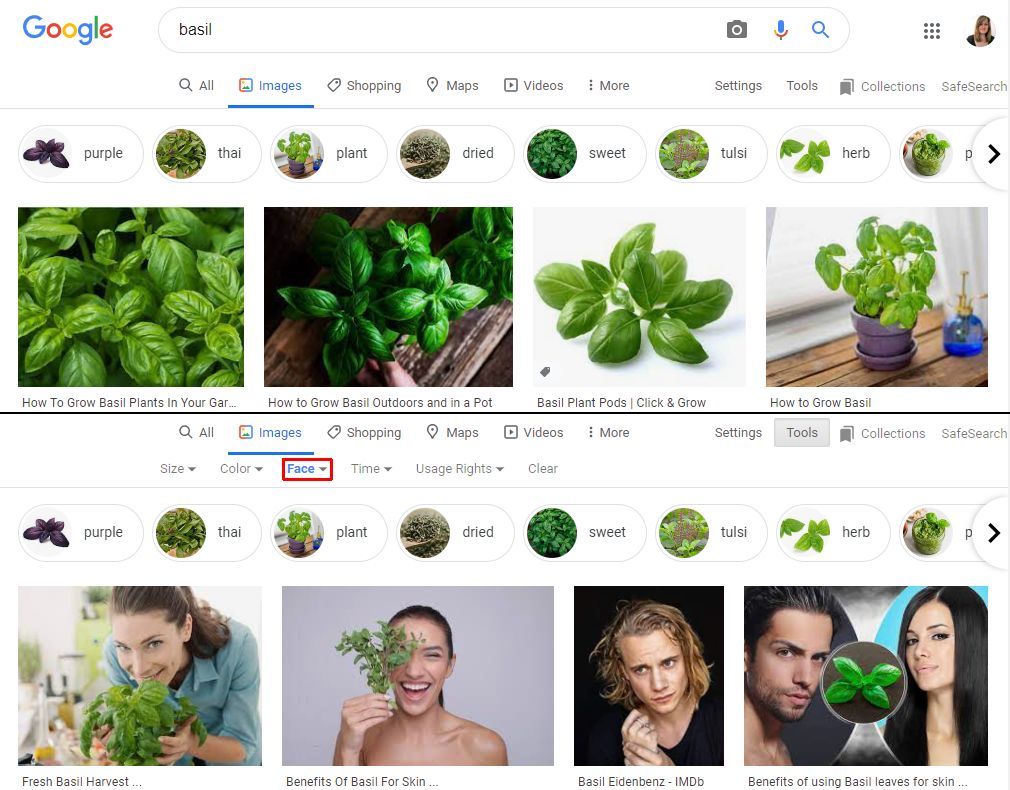 A Google image search for "basil" with and without the type specified as "face."
