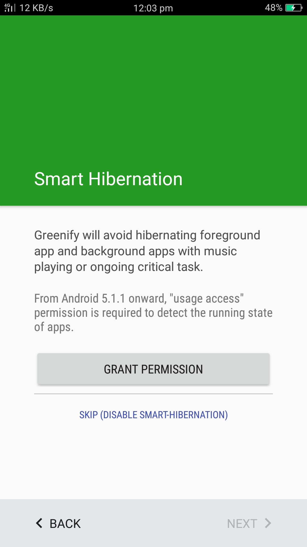 Greenify Smart Hibernation Permissions