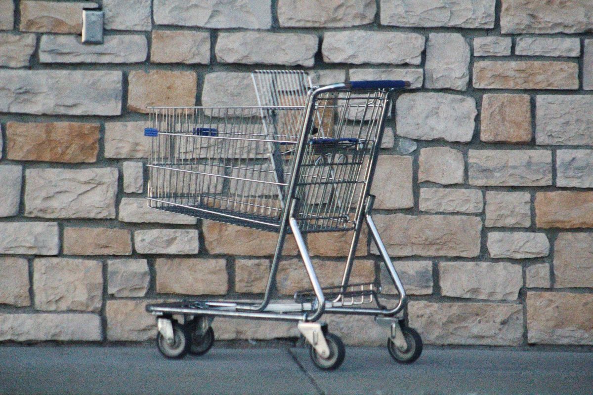 Grocery shopping cart