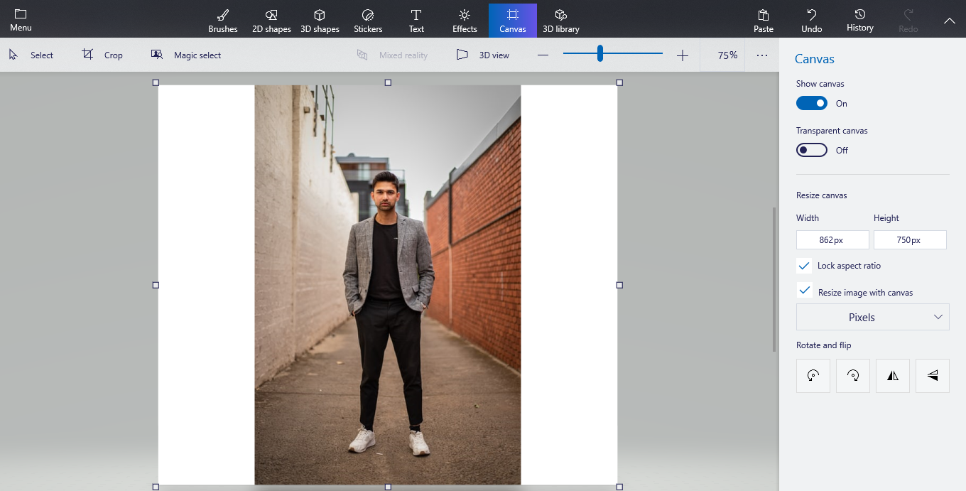 How to Crop an Image Into a Perfect Circle With Paint 3D